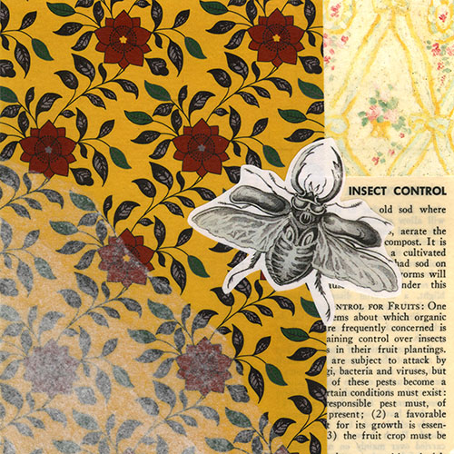 Insect Control, 2007