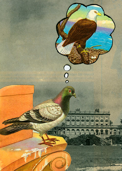 Februllage: Pigeon, 2026