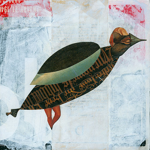 Funnel Beaked Trepan, 2024