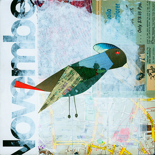 Shinto Strutter, 2025