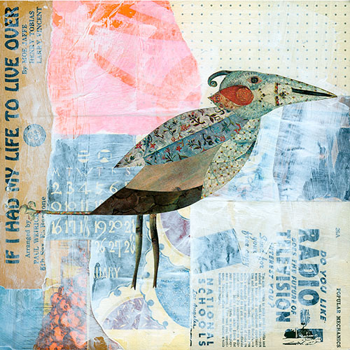 Virgin Rufflet, 2025