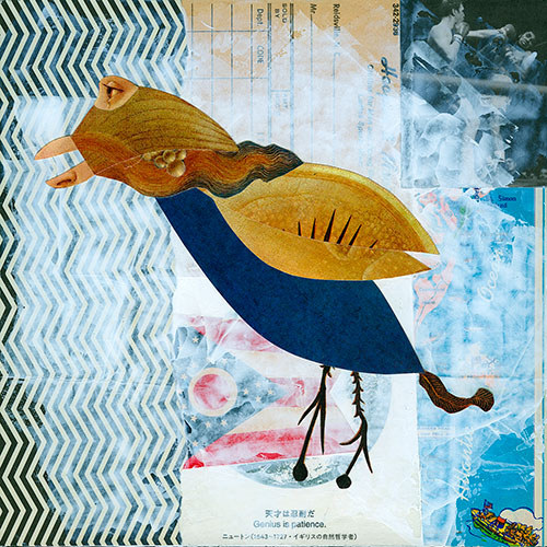 Spiny Leg Fiorentino, 2025